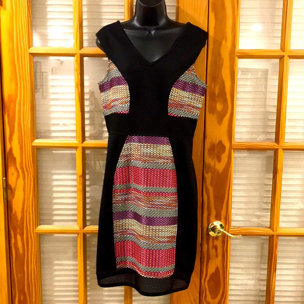 Yoana Baraschi Size 10 Dress